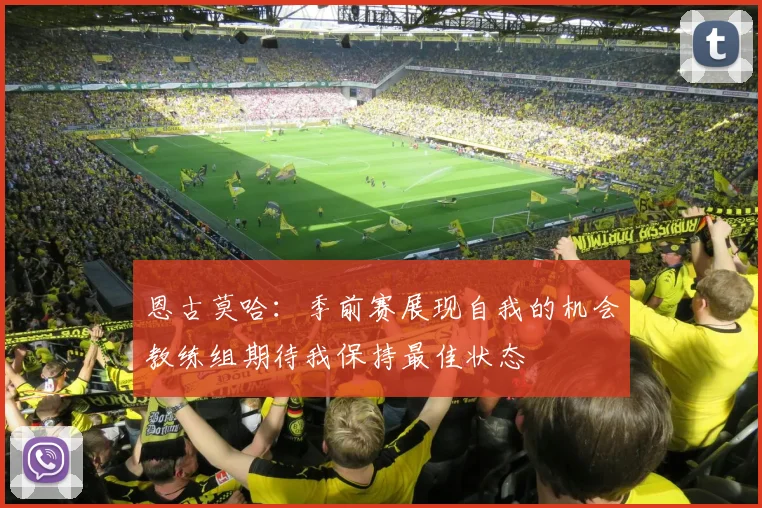 恩古莫哈：季前赛展现自我的机会教练组期待我保持最佳状态
