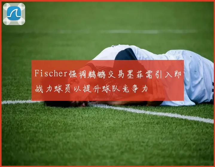 Fischer强调鹈鹕交易墨菲需引入即战力球员以提升球队竞争力